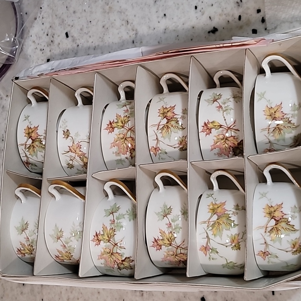 Cups Limoges Haviland Jewel Tea Vintage